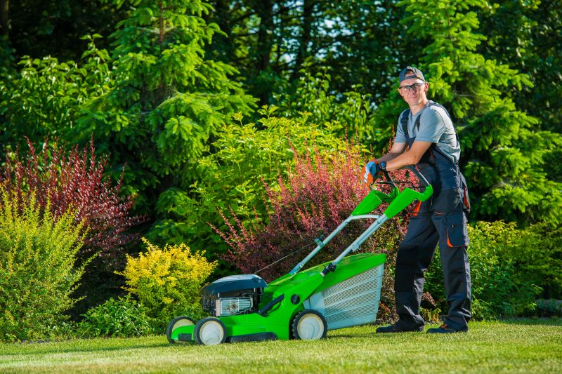 Mowing Service