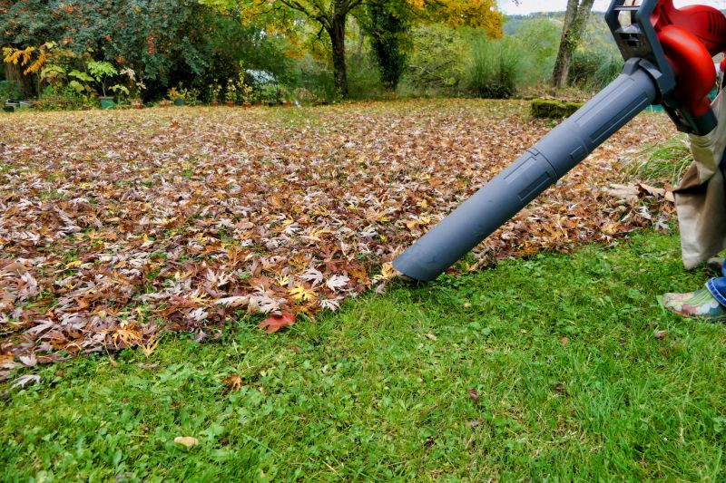 Autumn Lawn Equipment
