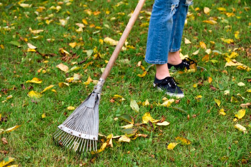 Fall Leaf Cleanup Tools
