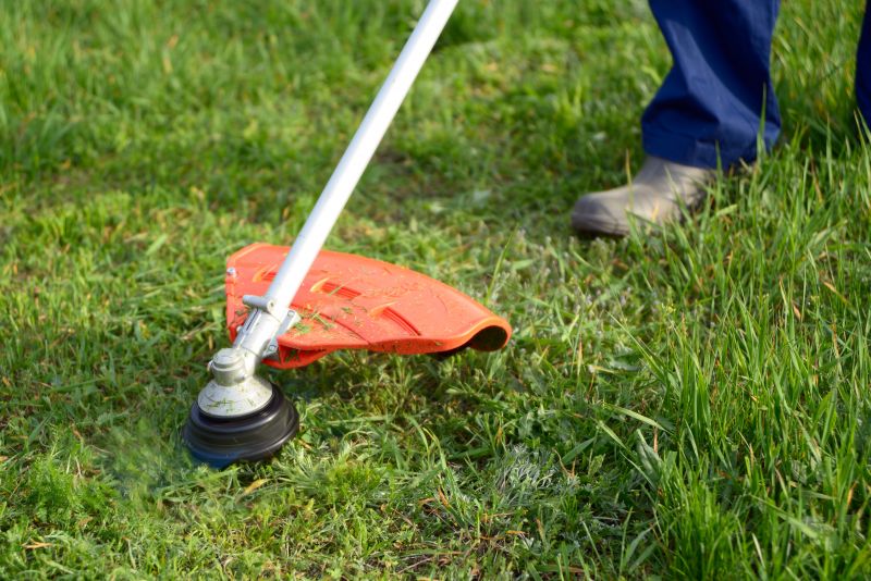 Pricing for Lawn Mowing Services - Service Cost Overview