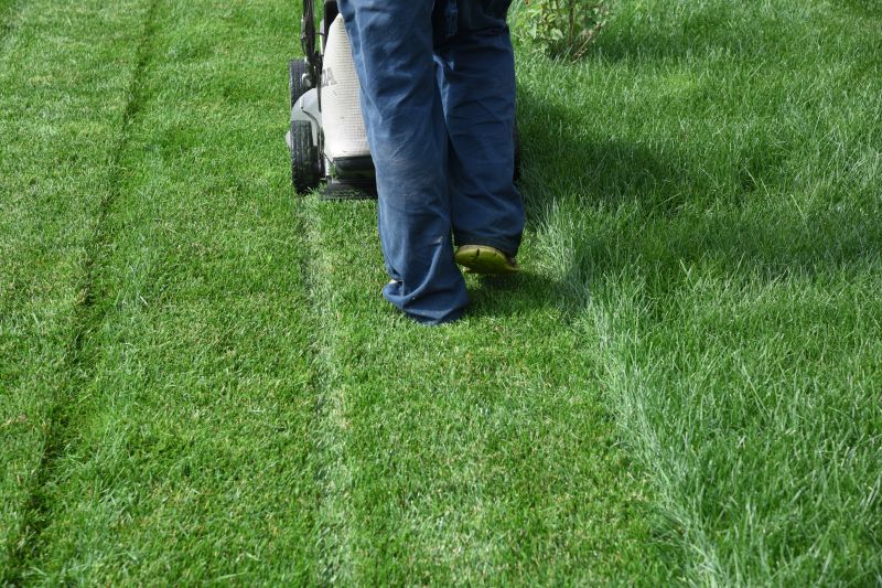 Pricing for Lawn Mowing Services - Service Cost Overview