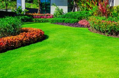Control of weed growth through consistent mowing