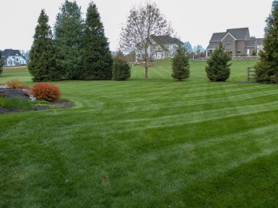 Enhanced aesthetic appeal through regular mowing
