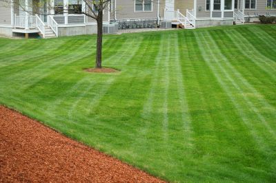 Uniform and neat appearance of the lawn